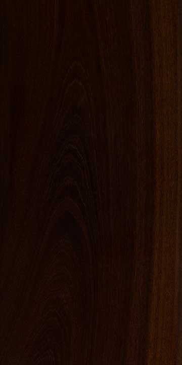 Акация для копья (Acacia rhodoxylon) – древесина под лаком