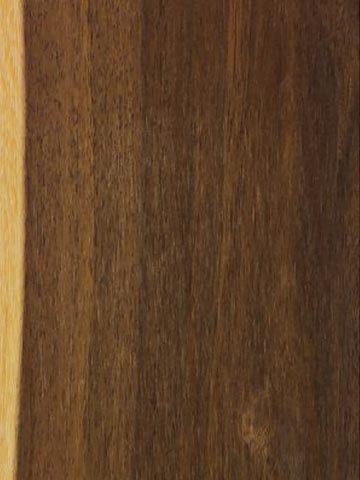 Акация Ширли (Acacia shirleyi) – древесина шлифованная