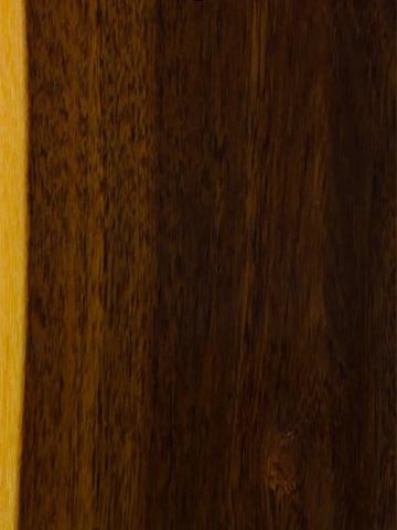 Акация Ширли (Acacia shirleyi) – древесина под лаком