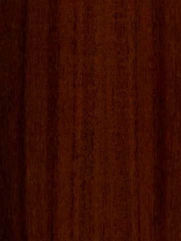 Acacia homalophylla - торец доски – волокна древесины