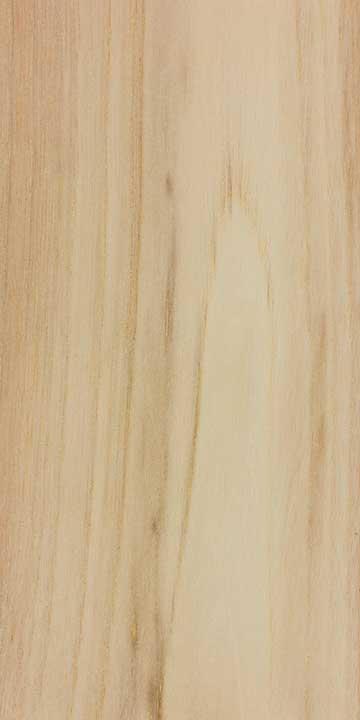 Лумбанг (Aleurites moluccanus) – древесина шлифованная