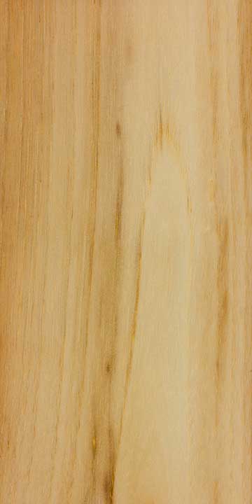 Лумбанг (Aleurites moluccanus) – древесина под лаком