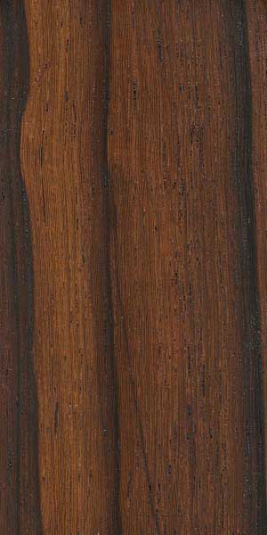 Мадагаскарский палисандр (Dalbergia baronii) – древесина под лаком