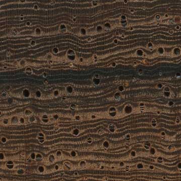 Мадагаскарский палисандр (Dalbergia baronii) – торец доски – волокна древесины, увел. 10х