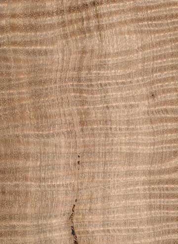 Эвкалипт косой (Eucalyptus obliqua) – шпон шлифованный