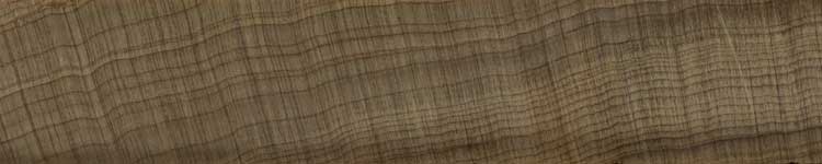 Восточно-индийское каури (Agathis dammara) – торец доски