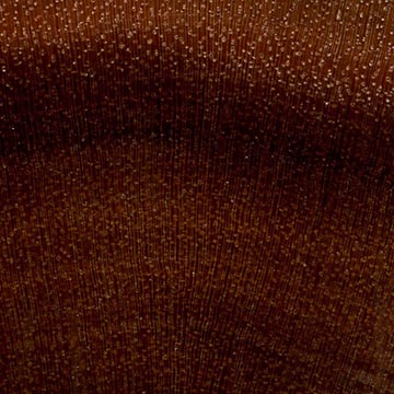 Krugiodendron ferreum - торец доски – волокна древесины
