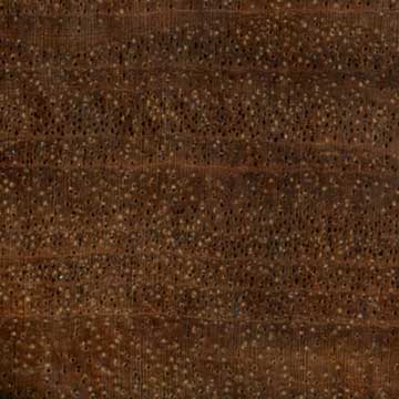 Палисандр Сантос (Machaerium scleroxylon) – торец доски – волокна древесины, увел. 10х