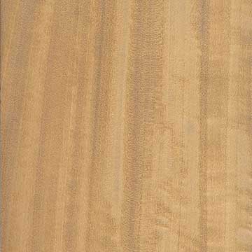 Сатиновое дерево (Chloroxylon swietenia) – древесина шлифованная