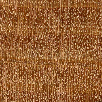 Сатиновое дерево (Chloroxylon swietenia) – торец доски – волокна древесины, увел. 10х