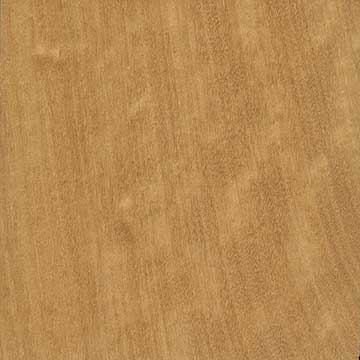 Зантоксилум жёлтый или Вест-индское сатиновое дерево (Zanthoxylum flavum) – древесина под лаком