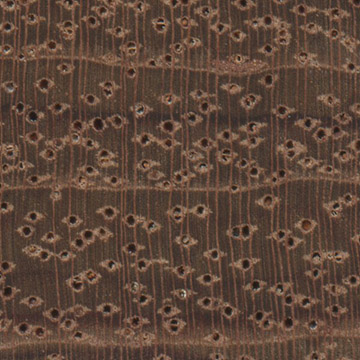 Бубинга (Guibourtia demeusei) – волокна древесины