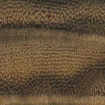 Фисташка настоящая (Pistacia vera) – торец доски – волокна древесины, увел. 10х