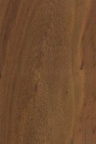 Акация Коайа (Acacia koaia) – древесина шлифованная