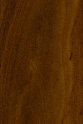 Акация Коайа (Acacia koaia) – древесина под лаком