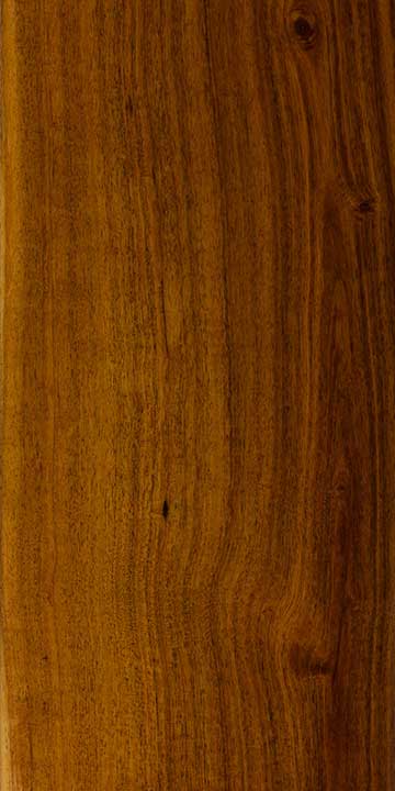 Мулга или Акация безжилковая (Acacia aneura) – древесина под лаком