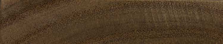 Альбиция ленкоранская (Albizia julibrissin) – торец доски