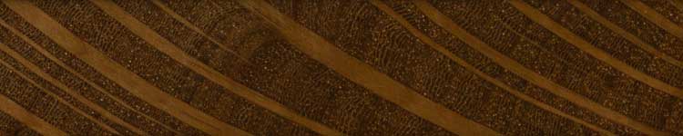 Западный шиоак (Allocasuarina fraseriana) - торец доски