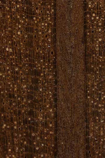 Волосатый дуб (Allocasuarina inophloia) - торец доски – волокна древесины