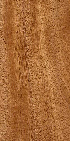Амендоим (Pterogyne nitens) – древесина под лаком
