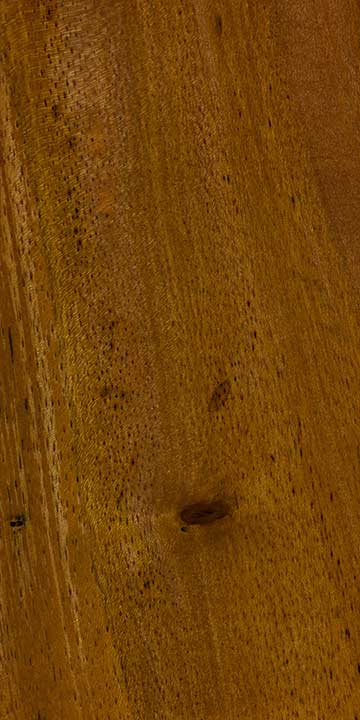 Кешью (Anacardium occidentale) – древесина под лаком