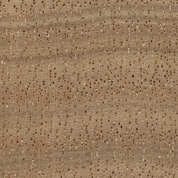 Анегри (Pouteria spp.) – торец доски – волокна древесины, увел. 10х