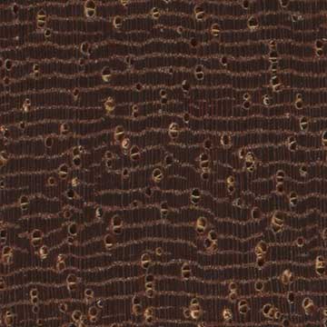 Азобэ (Lophira alata) – торец доски – волокна древесины, увел. 10х