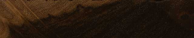 Бунари (Alectryon oleifolius) – торец доски
