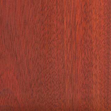 Сатин (Brosimum rubescens) – древесина под лаком