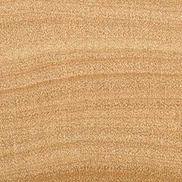 Каликофиллум белоснежный (Calycophyllum candidissimum) – торец доски – волокна древесины, увел. 10х
