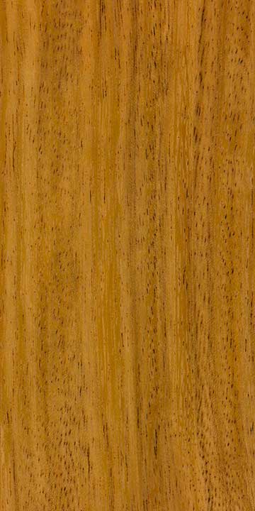 Череджейра (Amburana cearensis) – древесина под лаком