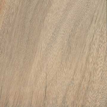 Камфора (Cinnamomum camphora) – древесина шлифованная