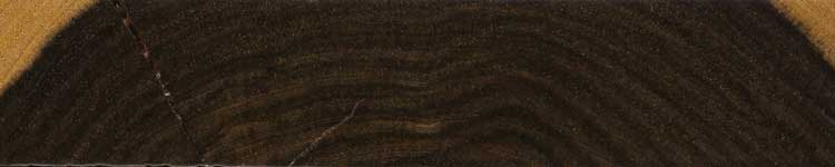 Кокусвуд (Brya ebenus) – торец доски