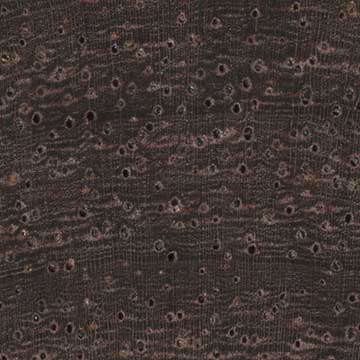 Буа де Роз (Dalbergia maritima) – торец доски – волокна древесины, увел. 10х