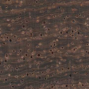 Гондурасский палисандр (Dalbergia stevensonii) – торец доски – волокна древесины