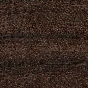 Сиамский палисандр (Dalbergia cochinchinensis) – торец доски – волокна древесины