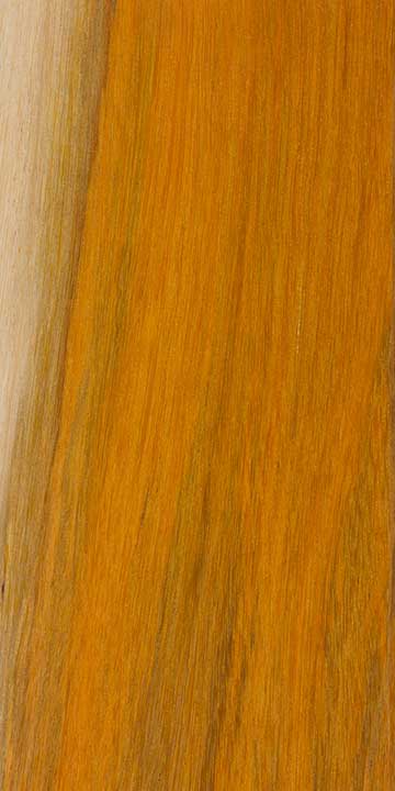 Цезальпиния ежовая (Caesalpinia echinata) – древесина шлифованная