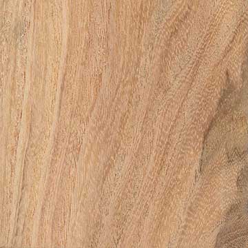 Медоносная акация (Gleditsia triacanthos) – древесина шлифованная