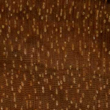Хикарильо - торец доски – волокна древесины
