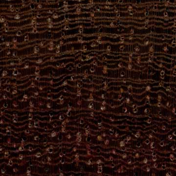 Каталокс - торец доски – волокна древесины