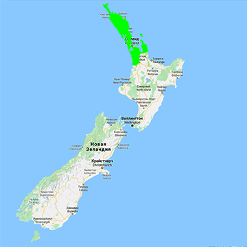 Природный ареал Agathis australis, эндемик для Новой Зеландии
