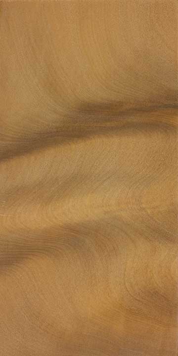 Болотное каури (Agathis australis) – древесина шлифованная