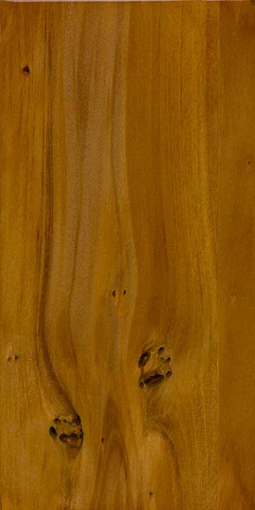 Тихоокеанское каури (Agathis macrophylla) – древесина под лаком