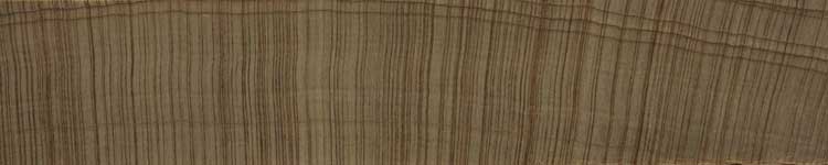Квинслендское каури (Agathis robusta) – торец доски