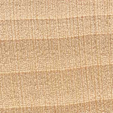 Липа американская (Tilia americana) – торец доски – волокна древесины