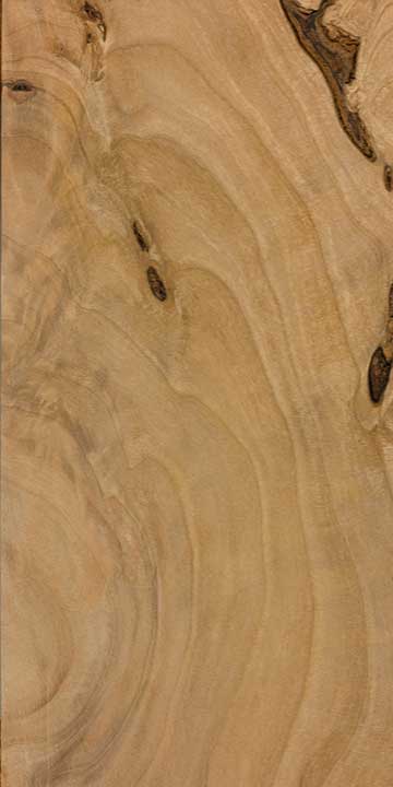 Ольха чёрная (Alnus glutinosa) – древесина шлифованная