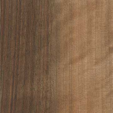 Орех Парадокс (Juglans × paradox) – древесина под лаком
