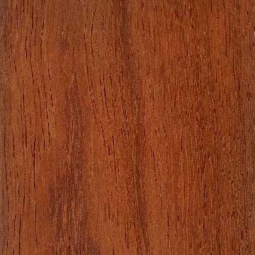 Андаманский падук (Pterocarpus dalbergioides) – древесина шлифованная