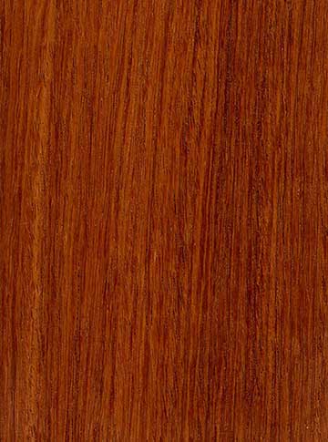 Бирманский падук (Pterocarpus macrocarpus) – древесина под лаком