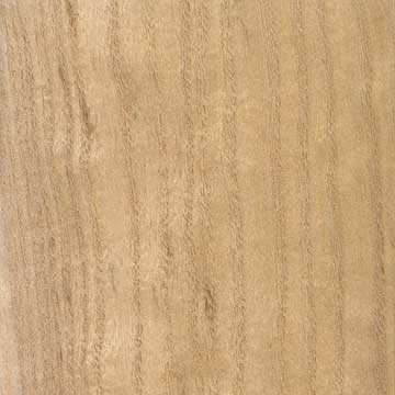 Павловния (Paulownia tomentosa) – древесина под лаком